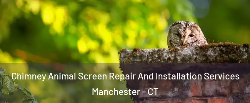  Chimney Animal Screen Repair And Installation Services Manchester - CT