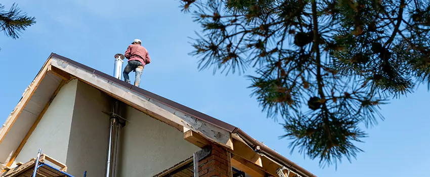 Birds Removal Contractors from Chimney in Manchester, CT